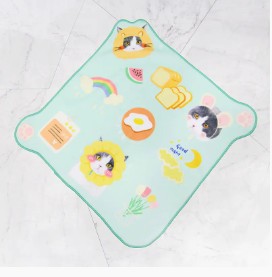 Apa itu Handuk Ajaib?